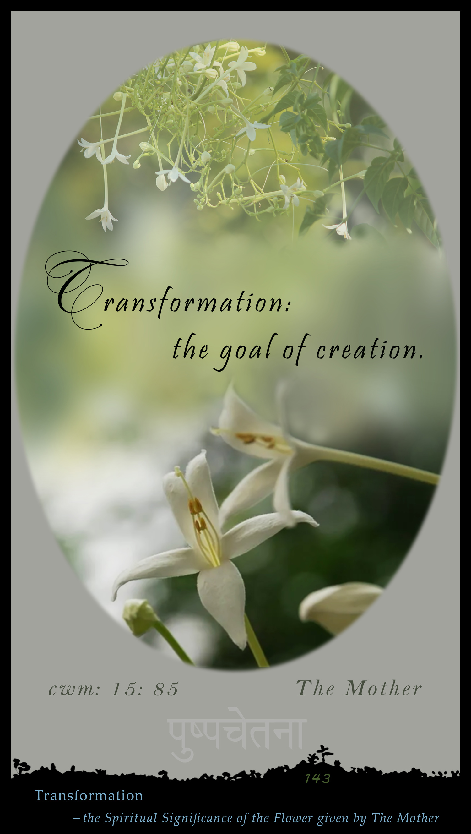 Transformation